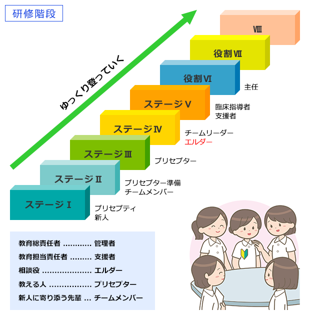 研修階段